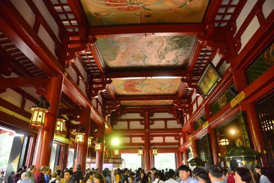 DSC_3489 (Large).JPG